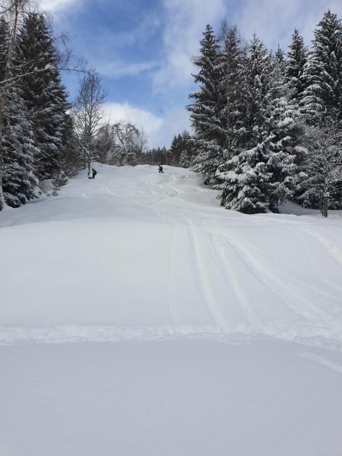 Chalet Chapeau Rar Castel Condino Luaran gambar