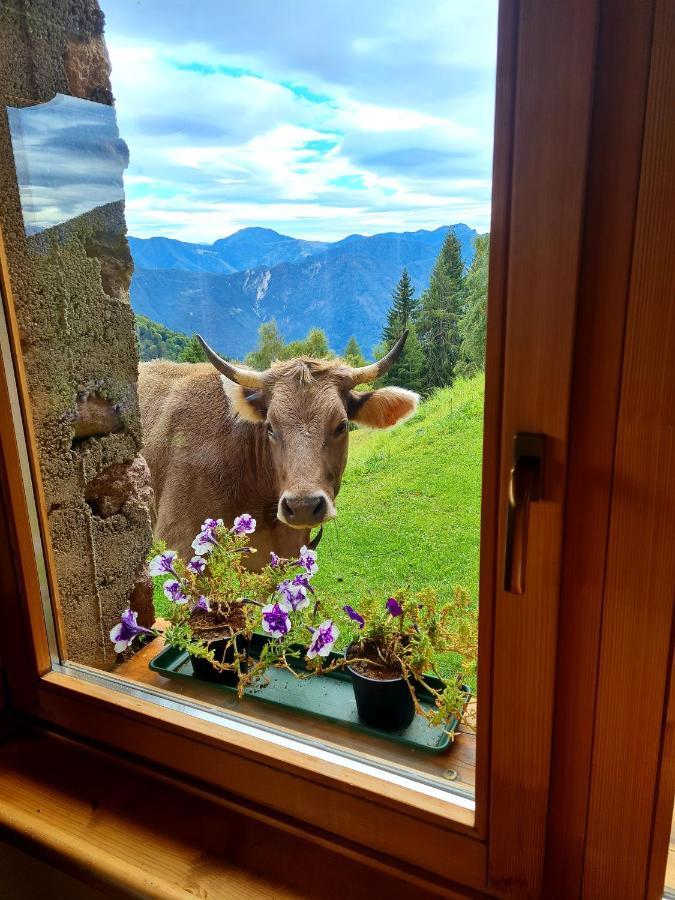 Chalet Chapeau Rar Castel Condino Luaran gambar