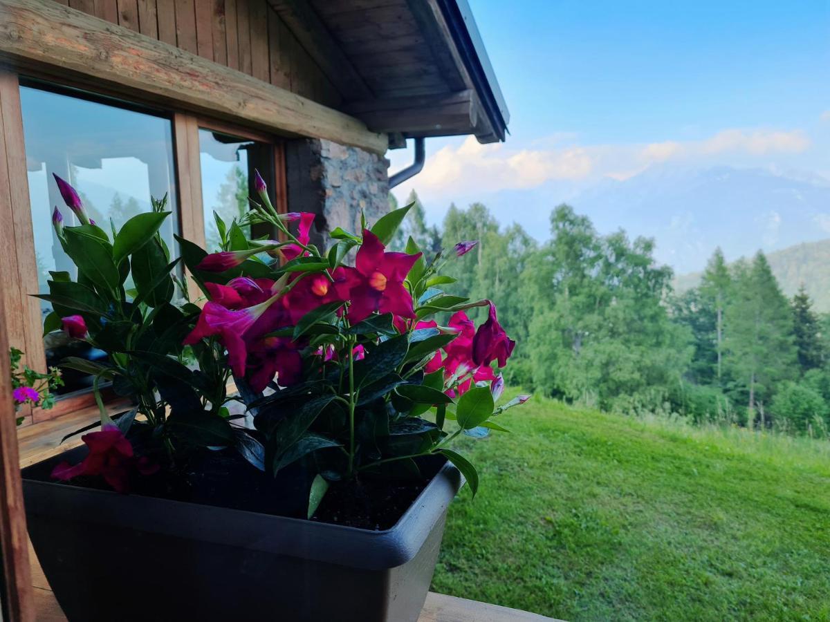 Chalet Chapeau Rar Castel Condino Luaran gambar