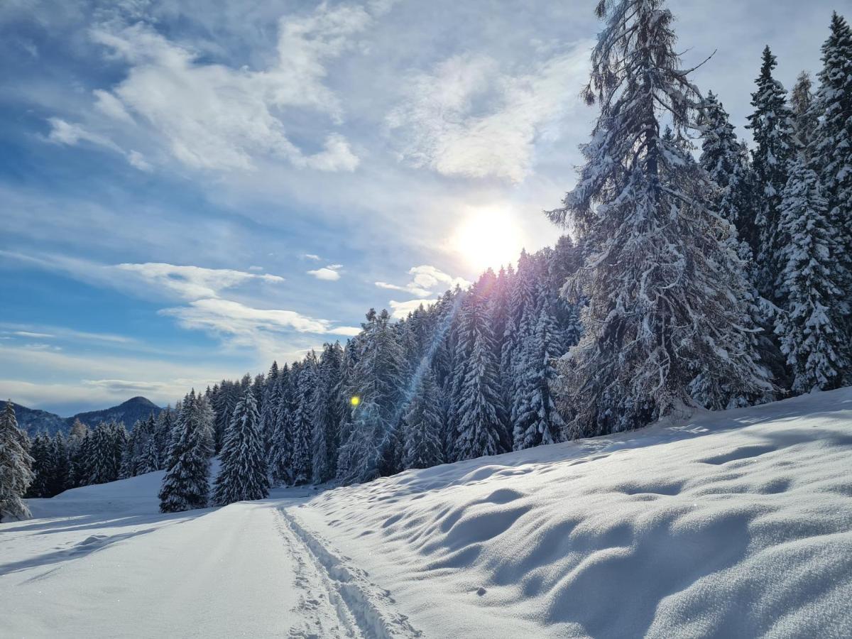 Chalet Chapeau Rar Castel Condino Luaran gambar